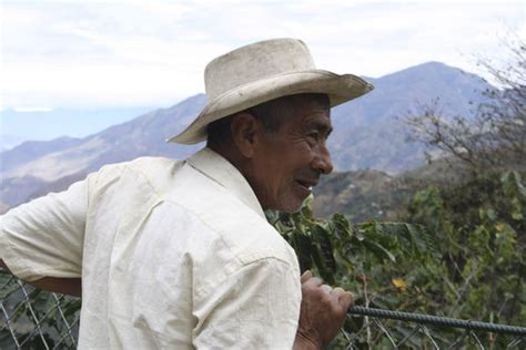 La Historia De La Primera Restitución De Tierras En Una Zona De Reserva Forestal El Espectador