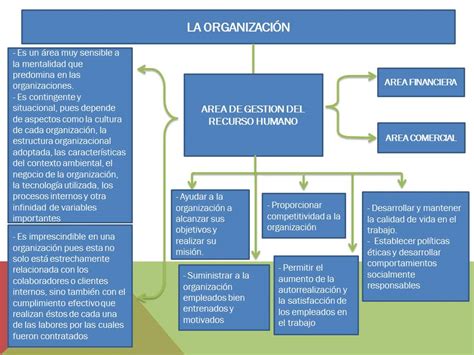 CaracterÍsticas De La AdministraciÓn Del Recurso Humano