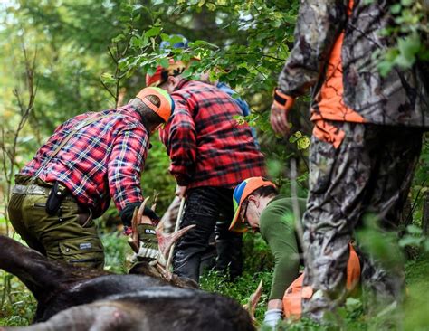 Skilda V Rldar I Synen P Lgf Rvaltning Svensk Jakt