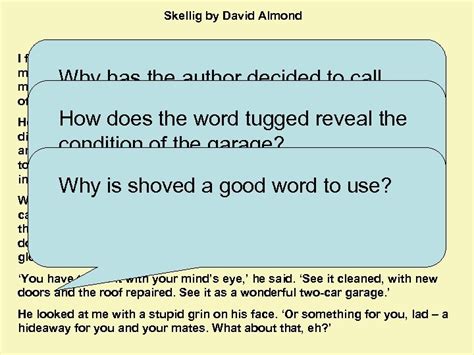 Skellig By David Almond I Found Him In