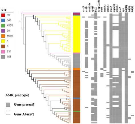 Figure 1 From The Use Of Online Tools For Antimicrobial Resistance