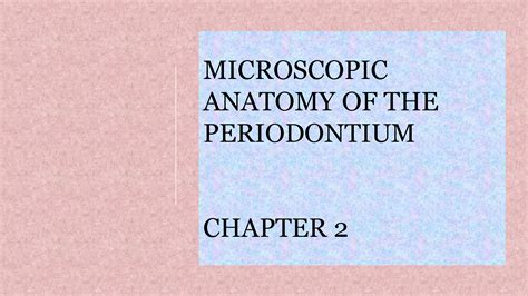 Solution Microscopic Anatomy Of Periodontium Studypool