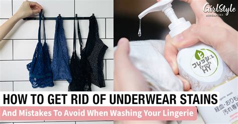 Fresh HY Lingerie Wash Singapore Review Why All Women Need This