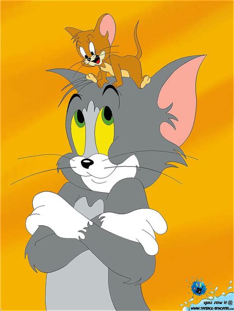 matching wallpapers   friends tom  jerry spice   phone