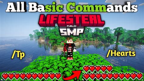 All Basic Commands In Lifesteal Smp Applemc Server Youtube