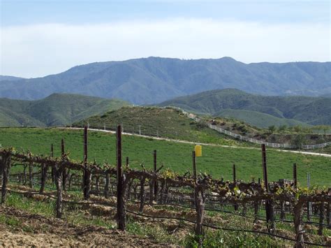 temecula wine and beer garden 5