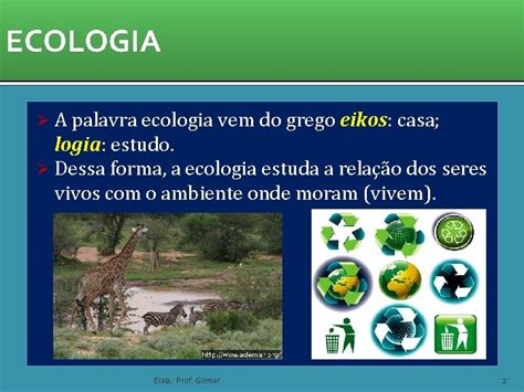 Qual É O Significado Da Palavra Ecologia - ECOLOGIA ECOLOGIA A palavra ecologia vem do grego