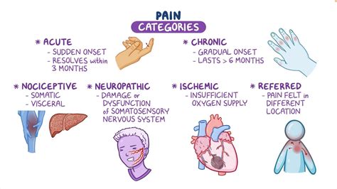 Video Physiology Of Pain Nursing