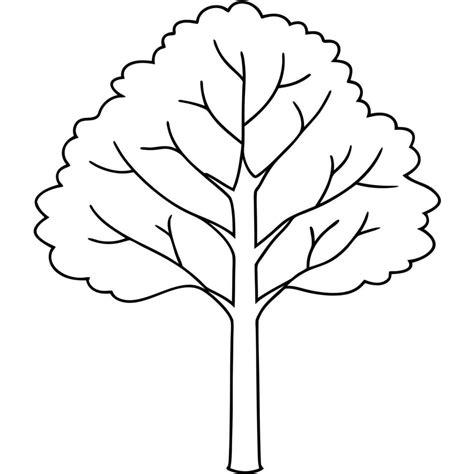 Aspen Tree Illustration Line Art 50999069 Vector Art At Vecteezy