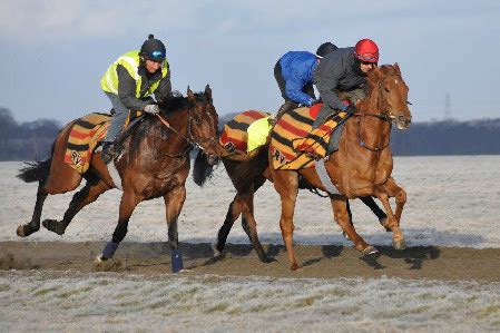 Atzeni excels on Soaring Spirits - Varian Stables