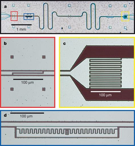 The Circuit Quantum Electrodynamics Device For Generating Single