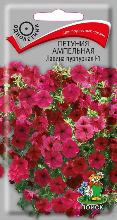 Купить петуния ампельная лавина пурпурная - цена 59 руб. - Доставка по ...