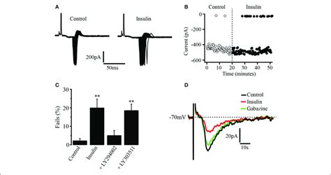 Insulin Decreases The Gain Of Pyramidal PFC Neurons A Recordings