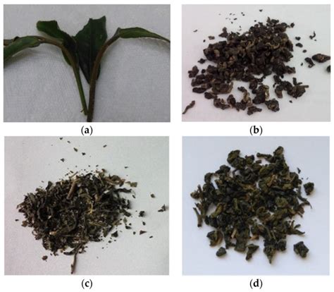 influence  tea brewing parameters   antioxidant potential