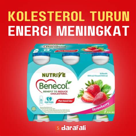 Jual Benecol Kolestrol 6 Botol X 100ml Strawberry Lychee Yogurt