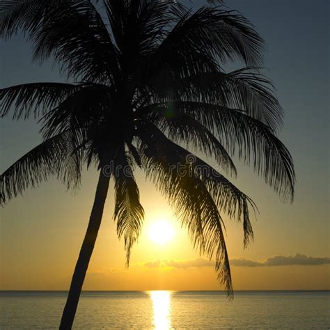 Sunset Over Caribbean Sea Stock Image Image Of Holidays 11840703
