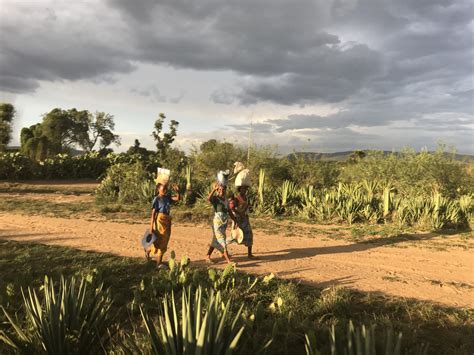 Southern Madagascar: Luxury Safaris & Activities | Extraordinary Journeys