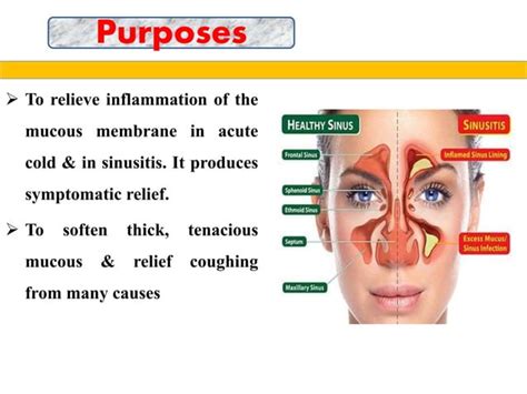 science  steam inhalation   therapeutic effects aplngk