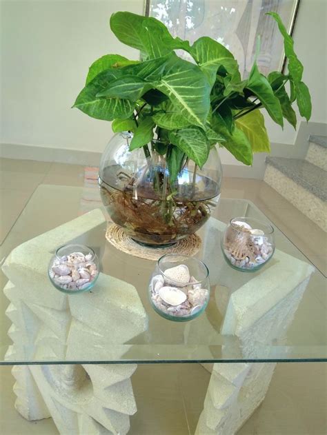 Centro De Mesa Com Plantas Naturais - Centro de mesa con plantas naturales
