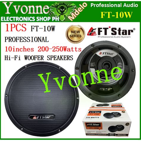 The FT Star FT 10 D10 Subwoofer 250 WATTS 10 Inch Professional High