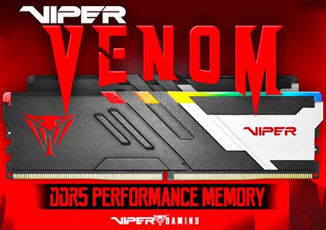 Новая память Viper Venom RGB DDR5 32GB Kit (16Gb x2/ 5600MHz/ CL36): 1 ...