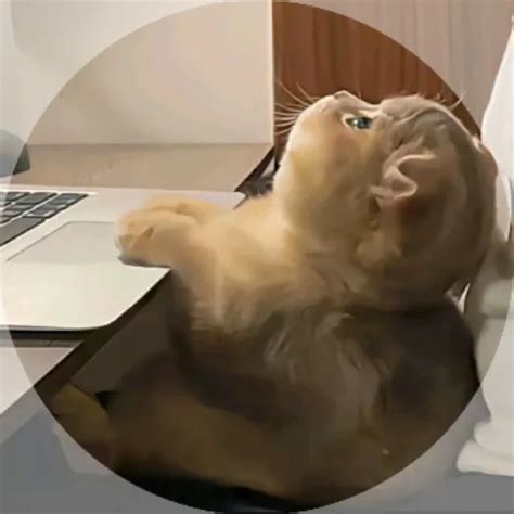 Ibu Mertua Free Mom In Chinese Porn Video F Xhamster