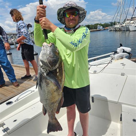 Pensacola Fishing Charter Rates Kings Fishing Charters