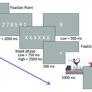 Schematic Representation Of The Stimuli And Procedure Of Experiment