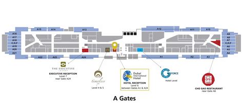 Dubai International Airport Passenger Guidance Map | dubaibookers.com