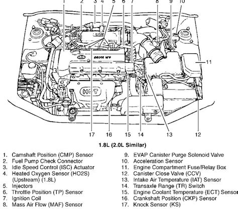 Tiburon Manual Wiring Diagram