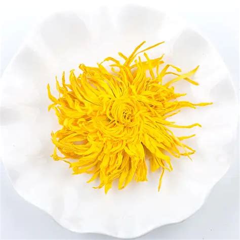 Hot Air Drying Machine Efficient And Cost Effective