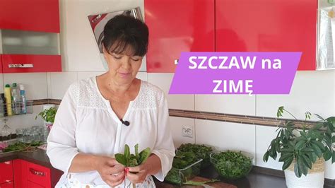 Szczaw na zimę w słoikach na zupę szczawiową przetwory YouTube