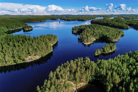 reasons  nordic countries   great forestry power  base