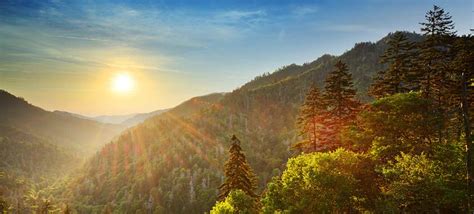 After Devastating Wildfires Eastern Tennessee Reopens For Business