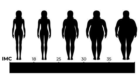 Calculez Votre Indice De Masse Corporelle Vidal Diet Nutrition Béziers