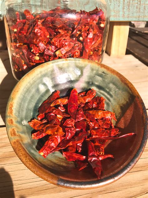 Make Homemade Fermented Hot Sauce With Dried Peppers An Easy Recipe To Make Any Time Of Year
