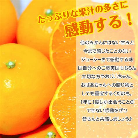 【楽天市場】【415限定★抽選で2人に1人最大100ポイントバック！要エントリー】【順次配送中】【 せとか 2kg 】 送料無料 愛媛県産 佐賀県産 長崎県産 せとか 愛媛みかん 愛媛県せ