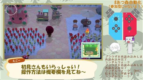 【あつ森】プログラムがゲームを遊ぶ配信（鋭意開発中！） 898 Youtube