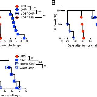 Cd And Cd T Cells Are Required For The Antitumor Response A