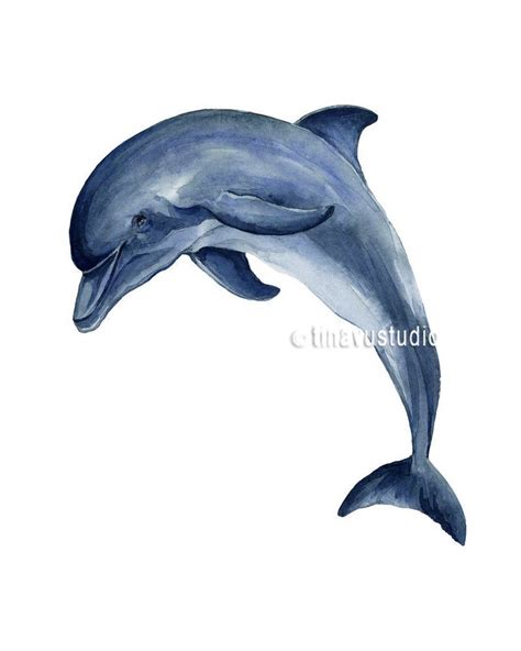 Dolphin Wall Art Dolphin Painting Watercolor Fish Original