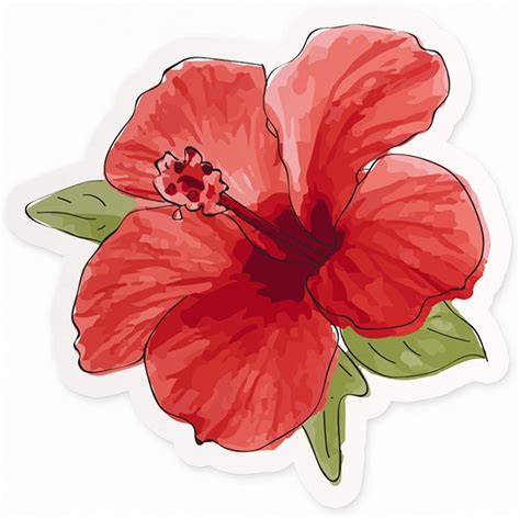 Amazon Cute Hibiscus Flower Sticker Hawaii Flower Sticker