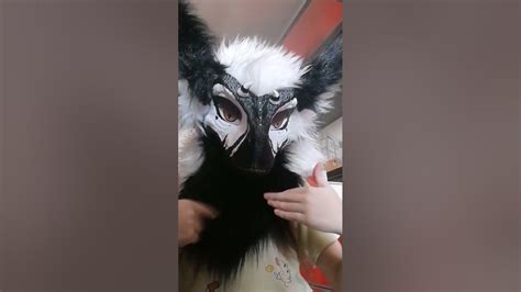 #рапторы #фурри #раптор #beats #anime #рек #фурсьют - YouTube