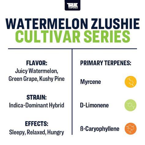 Watermelon Zlushie Terpene Strain Profile True Terpenes
