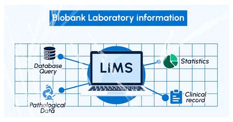 Lims Software Guide Everything About Laboratory Information Management System Didata