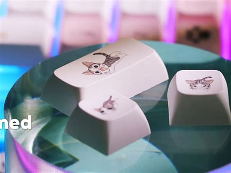 Mua Epomaker Mini Cat Hot Swappable Acrylic Rgb Wired Mechanical Gaming Keyboard Via