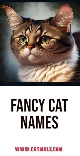 Fancy Cat Names | Girl cat names, Cat names, Fancy cats