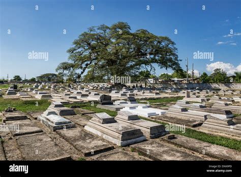 La savane Stockfotos und -bilder Kaufen - Alamy