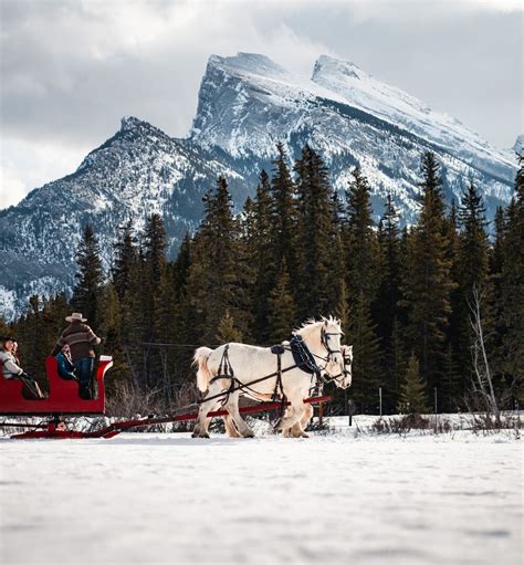 Sleigh Rides & Dog Sledding in Banff and Lake Louise | Banff & Lake Louise Tourism