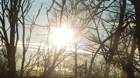 Rio Grande Nj Man Busted On Drug Sex Offender Charges