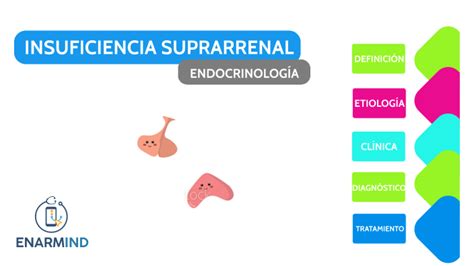 Insuficiencia Suprarrenal By Octavio Aguilar On Prezi